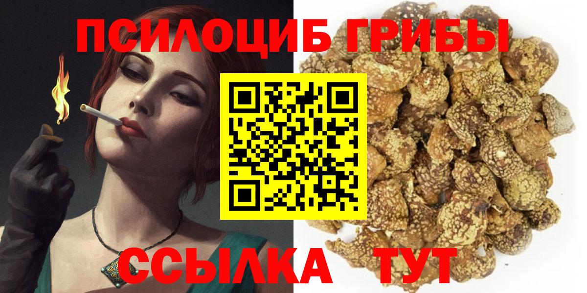 Галлюциногенные грибы Psilocybine cubensis  Вход с VPN  Галлюциногенные грибы Psilocybine cubensis  Кизляр 