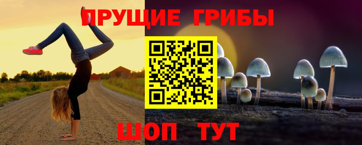 Галлюциногенные грибы Cubensis Кизляр
